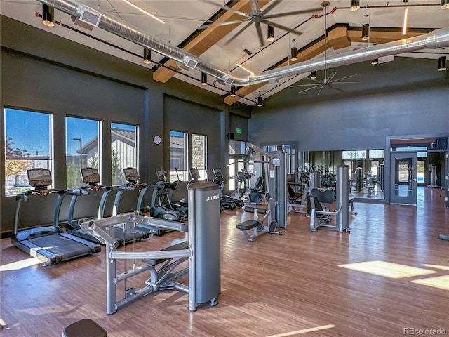 21701 E 50th Dr, Aurora, CO 80019 - workout area with a towering ceiling, wood finished floors, and ceiling fan