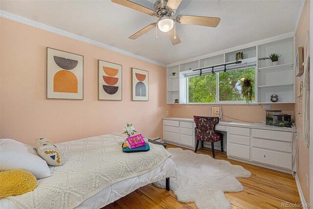 90 Hoyt St, Lakewood, CO 80226 - photo 19