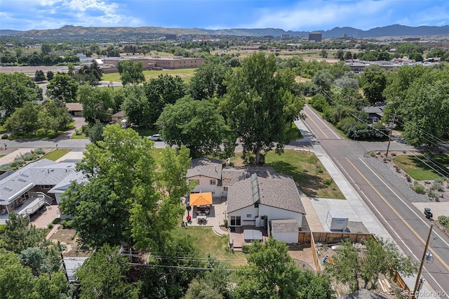 90 Hoyt St, Lakewood, CO 80226 - photo 31