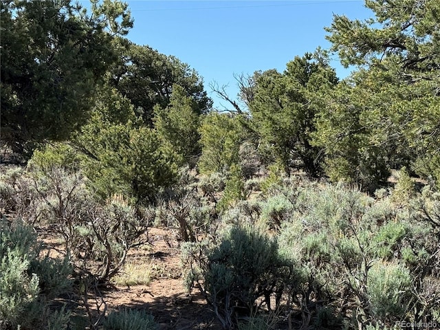 LOT3691 Rockwell Rd, Fort Garland, CO 81133
