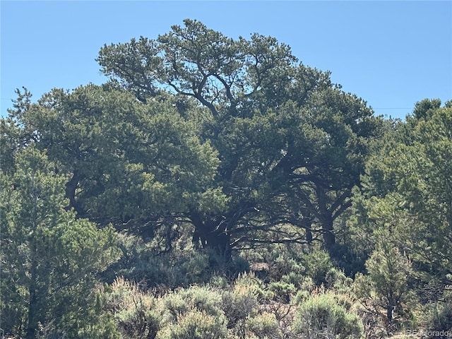 LOT3691 Rockwell Rd, Fort Garland, CO 81133