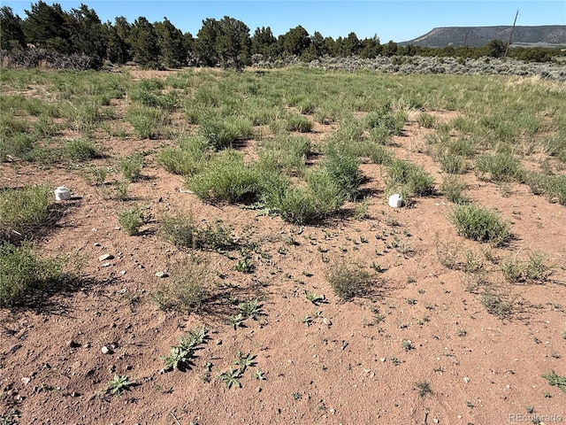 LOT3691 Rockwell Rd, Fort Garland, CO 81133
