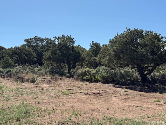 LOT3691 Rockwell Rd, Fort Garland, CO 81133