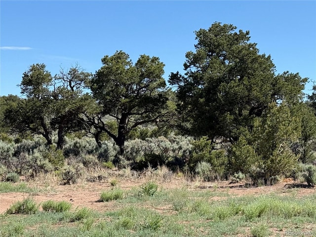 LOT3691 Rockwell Rd, Fort Garland, CO 81133