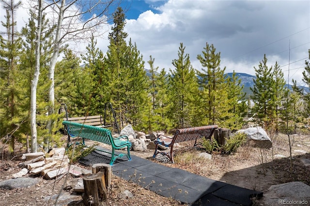 479 County Road 465, Grand Lake, CO 80447 - view of yard with a mountain view