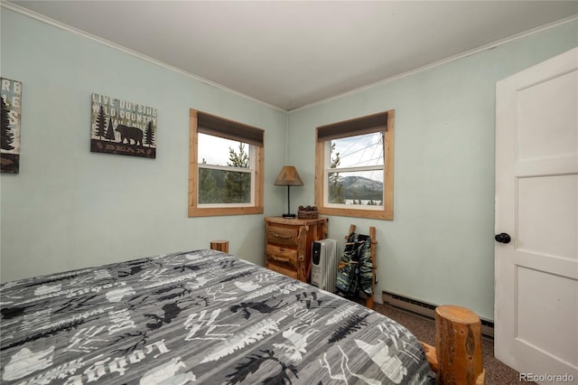 479 County Road 465, Grand Lake, CO 80447 - carpeted bedroom with crown molding, a baseboard radiator, and baseboards
