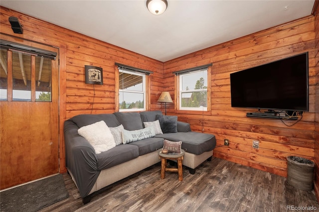 479 County Road 465, Grand Lake, CO 80447 - living room featuring dark wood finished floors and wooden walls