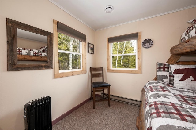 479 County Road 465, Grand Lake, CO 80447 - bedroom featuring a baseboard heating unit, radiator heating unit, carpet floors, baseboards, and crown molding