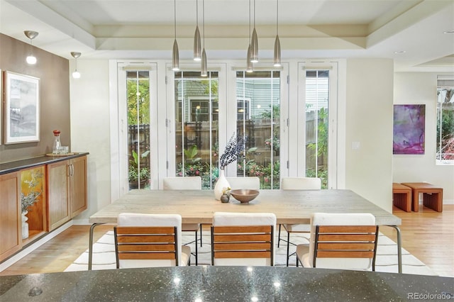 interior space featuring light hardwood / wood-style floors and a raised ceiling