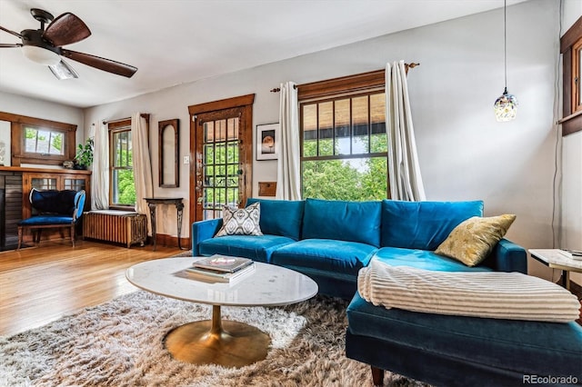 3145 W 31st Ave, Denver, CO 80211 - living room with radiator heating unit, healthy amount of natural light, wood finished floors, and ceiling fan