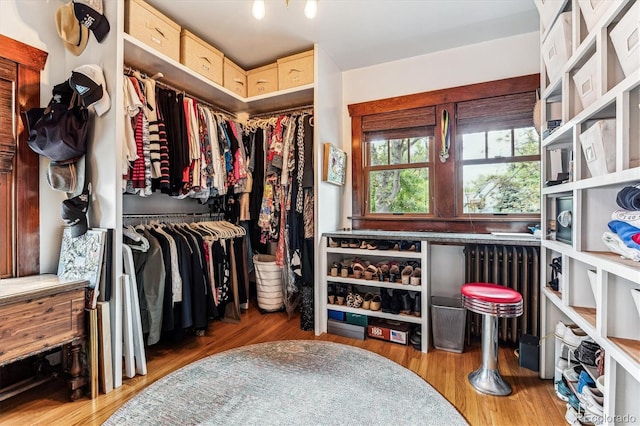 3145 W 31st Ave, Denver, CO 80211 - walk in closet featuring wood finished floors and radiator