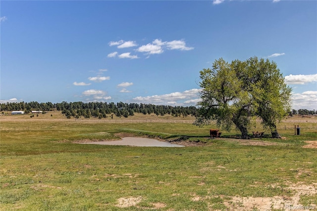 18050 Wedemeyer Rd, Kiowa, CO 80117 - view of green lawn with a view of rural / pastoral area