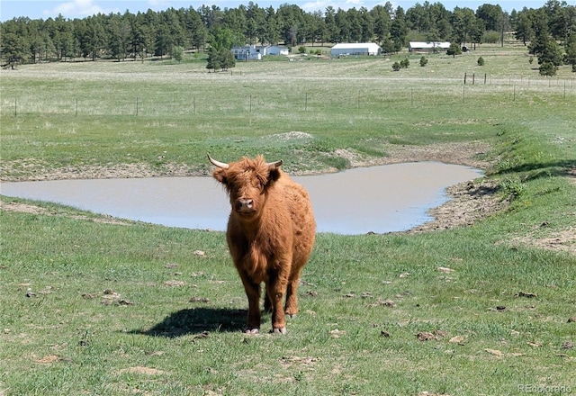 18050 Wedemeyer Rd, Kiowa, CO 80117 - view of yard featuring a water view and a rural view