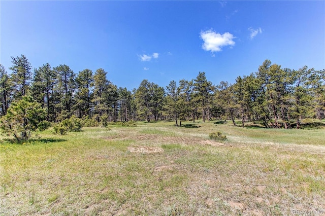 18050 Wedemeyer Rd, Kiowa, CO 80117 - view of yard featuring a view of trees