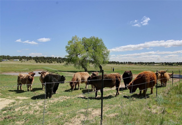 18050 Wedemeyer Rd, Kiowa, CO 80117 - view of yard with a view of rural / pastoral area