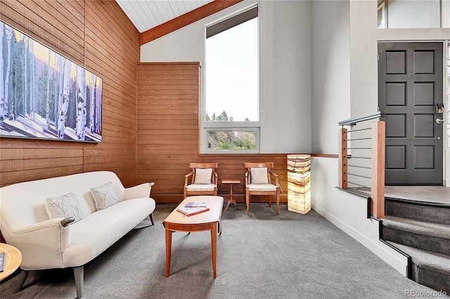 30334 Roan Dr, Evergreen, CO 80439 - sitting room with wooden walls and carpet