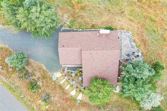 30334 Roan Dr, Evergreen, CO 80439 - view from above of property