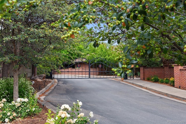 2800 S University Blvd Unit 174, Denver, CO 80210 - view of gate