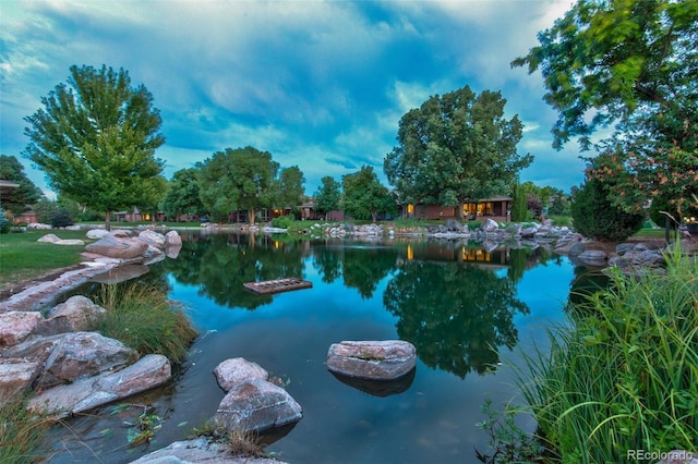 2800 S University Blvd Unit 174, Denver, CO 80210 - water view
