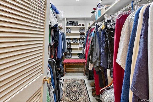 2800 S University Blvd Unit 174, Denver, CO 80210 - view of spacious closet