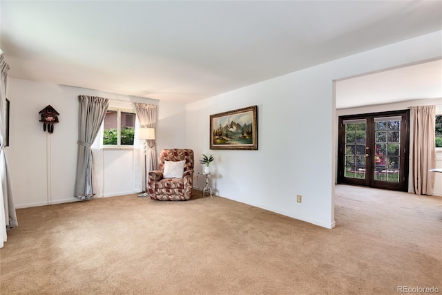 6666 S Pennsylvania St, Centennial, CO 80121 - sitting room with light colored carpet and baseboards
