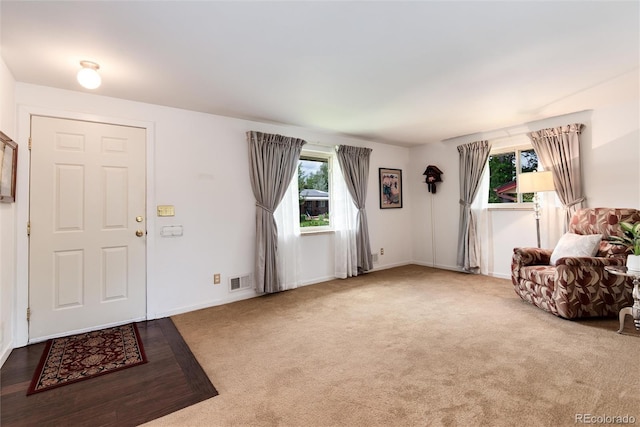 6666 S Pennsylvania St, Centennial, CO 80121 - entrance foyer with carpet and baseboards
