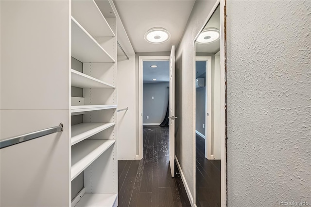 spacious closet with dark hardwood / wood-style flooring