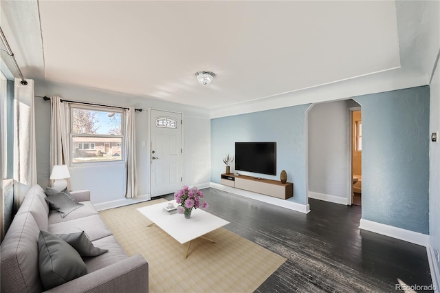 living room with dark wood-type flooring