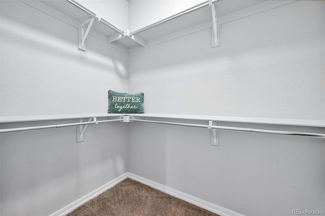 44 S Olympian Dr, Colorado Springs, CO 80905 - walk in closet with dark colored carpet