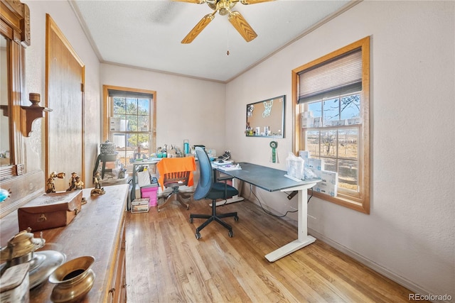 office featuring ceiling fan, a healthy amount of sunlight, light hardwood / wood-style floors, and ornamental molding