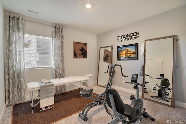 1702 Floating Leaf Dr, Fort Collins, CO 80528 - photo 8