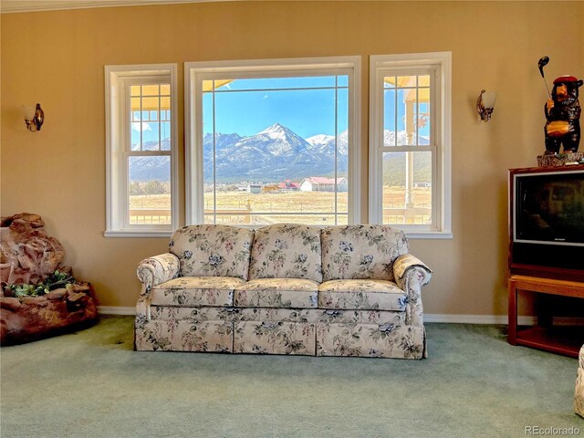 242 E Blarney Stone Rd, Howard, CO 81233 - photo 15
