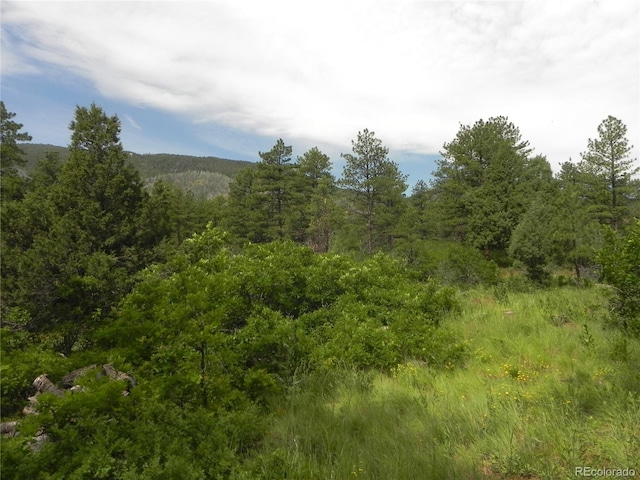 8160 Bannock Dr, Larkspur CO, 80118 land for sale