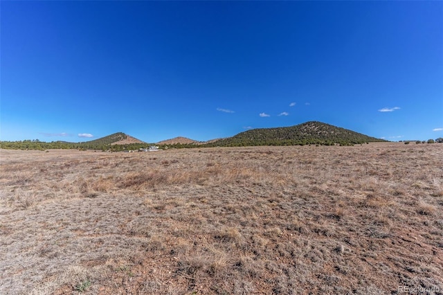 Q Path, Cotopaxi, CO 81223
