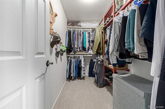 spacious closet featuring carpet floors