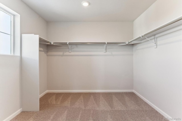 walk in closet featuring carpet