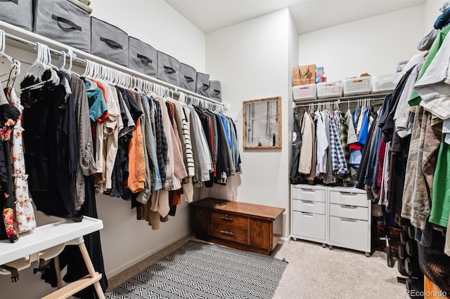 walk in closet featuring carpet flooring