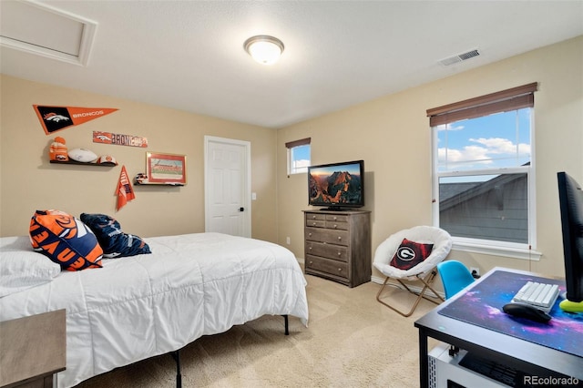 1988 Cataluna Dr, Windsor, CO 80550 - photo 25