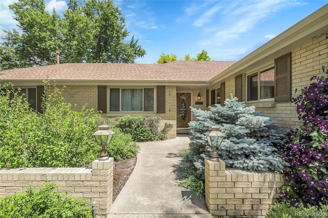 1091 E Pinewood Ave, Centennial, CO 80121 - doorway to property featuring brick siding and a shingled roof
