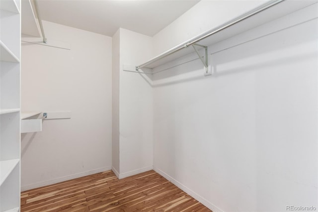 16 Breamore Ct, Castle Pines, CO 80108 - photo 26