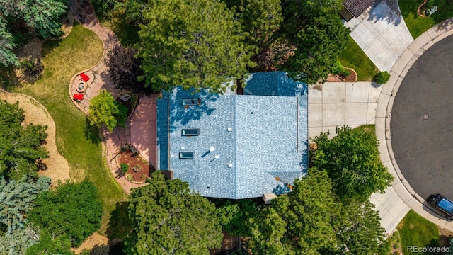 16 Breamore Ct, Castle Pines, CO 80108 - photo 46