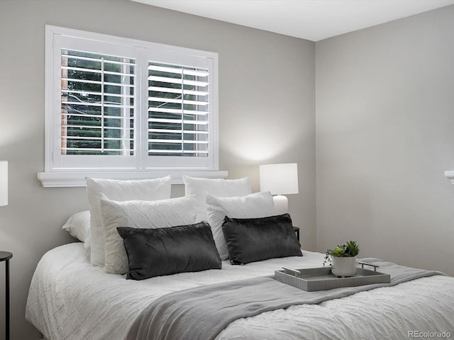 2047 S Milwaukee St Unit 4, Denver, CO 80210 - view of bedroom