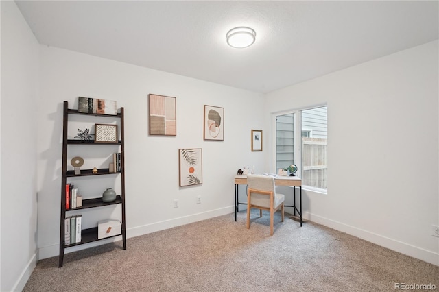 home office with carpet