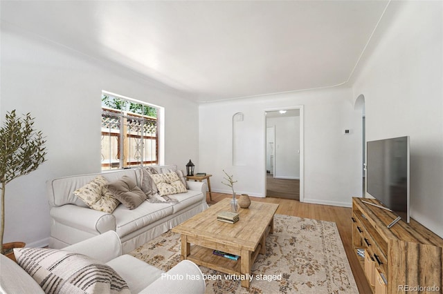 living room with light hardwood / wood-style flooring