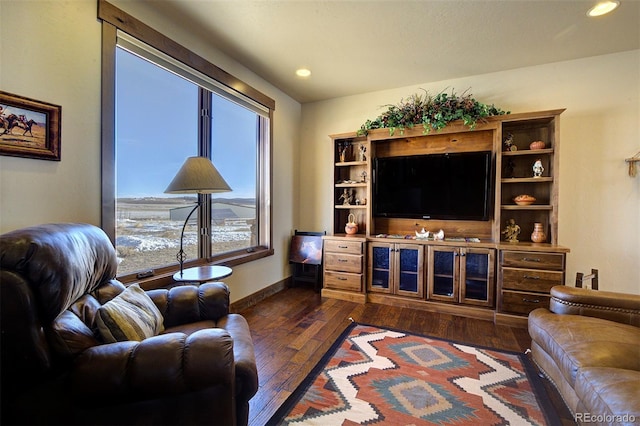 living room with dark wood-type flooring