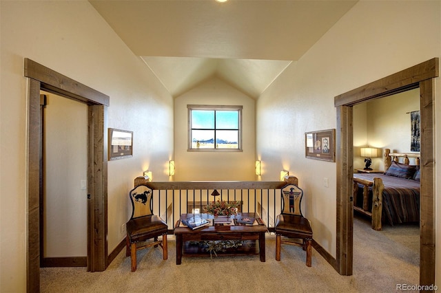 19425 Hwy 285, Fairplay, CO 80440 - photo 30