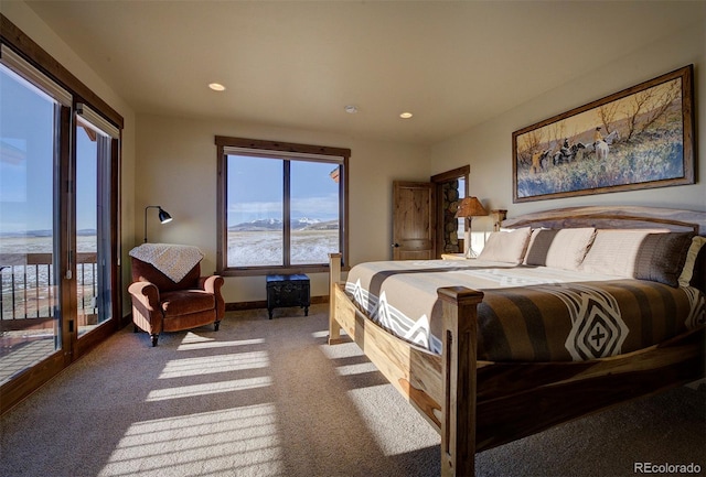 19425 Hwy 285, Fairplay, CO 80440 - photo 31