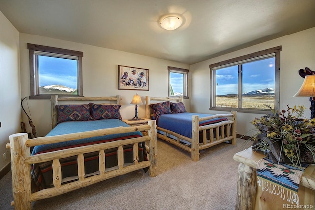 bedroom with carpet flooring