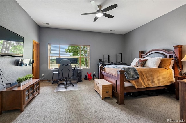 4795 Desperado Way, Parker, CO 80134 - photo 38