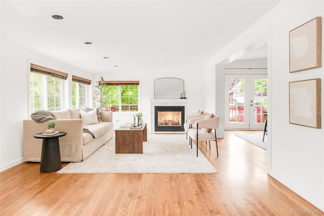 6535 Balsam St, Arvada, CO 80004 - living room featuring light wood-style floors, a glass covered fireplace, french doors, and baseboards